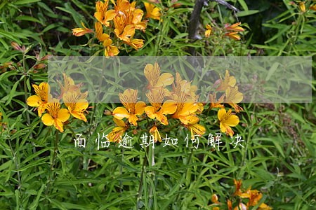 面临逾期如何解决 面临逾期如何解决