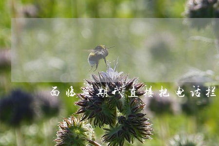 面临逾期我直接把电话拦截了 面临逾期我直接把电话拦截了