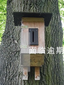 面临逾期的解决方法