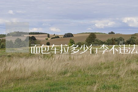 面包车拉多少行李不违法 面包车拉多少行李不违法