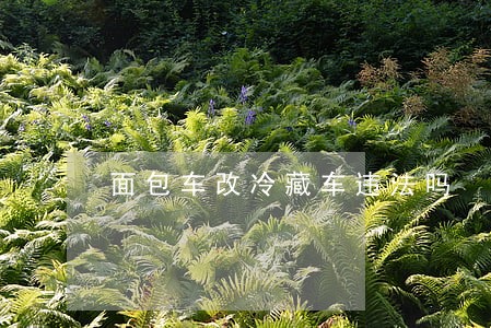 面包车改冷藏车违法吗 面包车改冷藏车违法吗
