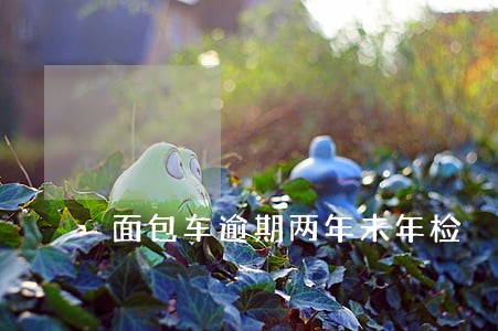 面包车逾期两年未年检 面包车逾期两年未年检