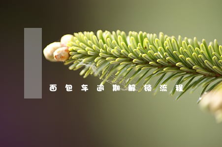 面包车逾期解锁流程 面包车逾期解锁流程