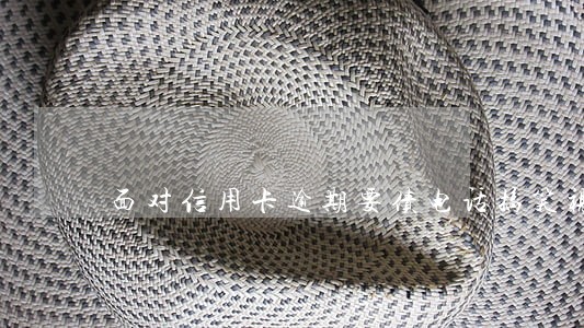 面对信用卡逾期要债电话搞笑视频