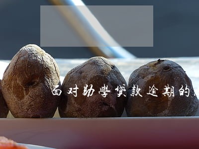 面对助学贷款逾期的感悟