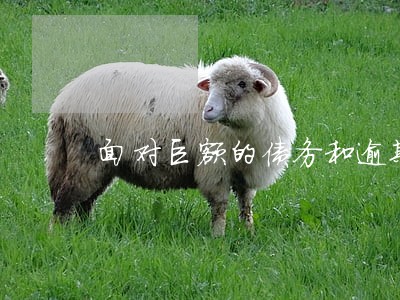 面对巨额的债务和逾期