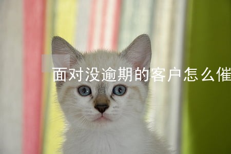 面对没逾期的客户怎么催收