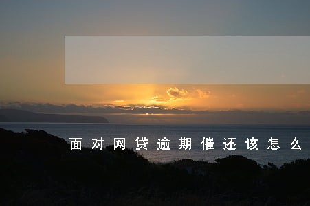 面对网贷逾期催还该怎么处理 面对网贷逾期催还该怎么处理
