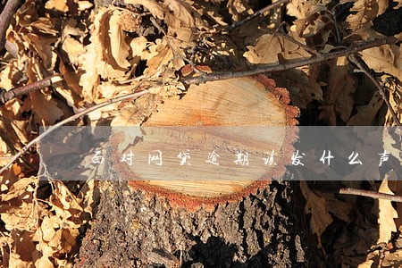 面对网贷逾期该发什么声明 面对网贷逾期该发什么声明