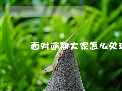 面对逾期大家怎么处理负债 面对逾期大家怎么处理负债