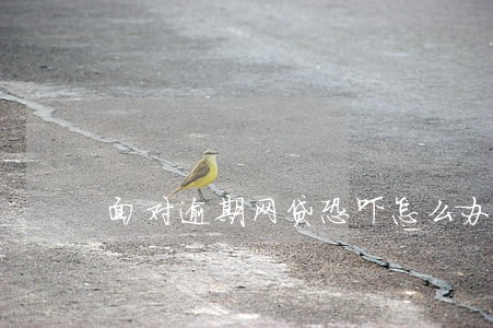 面对逾期网贷恐吓怎么办 面对逾期网贷恐吓怎么办