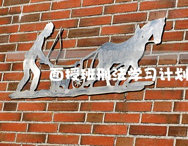 面授班刑法学习计划 面授班刑法学习计划