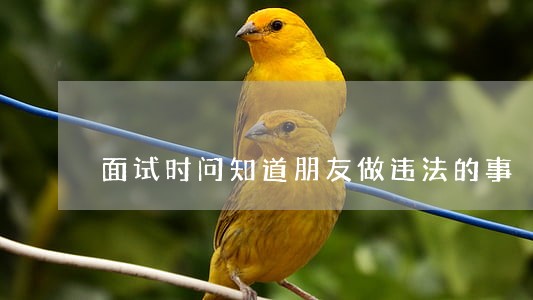 面试时问知道朋友做违法的事