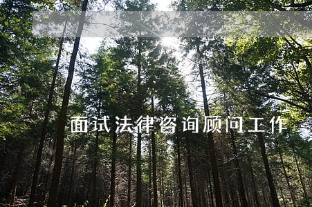 面试法律咨询顾问工作 面试法律咨询顾问工作