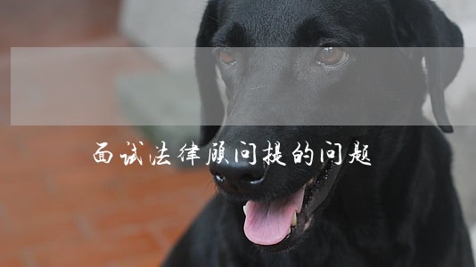 面试法律顾问提的问题 面试法律顾问提的问题