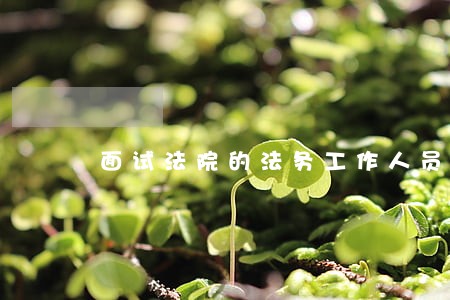 面试法院的法务工作人员
