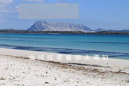 面试结果逾期未通知 面试结果逾期未通知