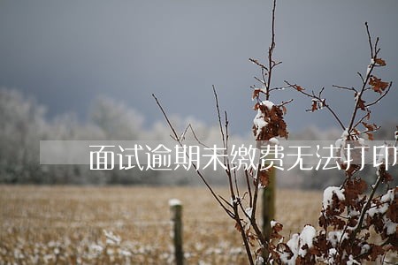 面试逾期未缴费无法打印准考证