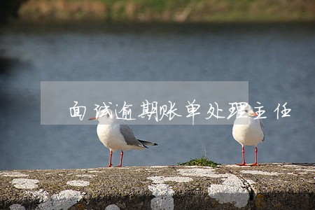 面试逾期账单处理主任