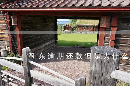 靳东逾期还款但是为什么不借钱 靳东逾期还款但是为什么不借钱