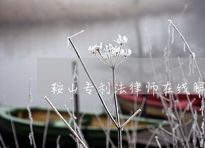 鞍山专利法律师在线解答