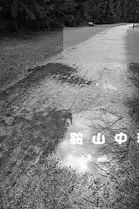 鞍山中科信诉讼 鞍山中科信诉讼