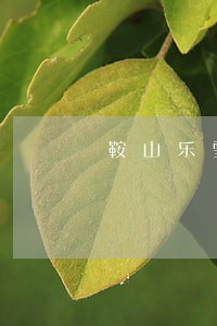 鞍山乐雪集团司法拍卖 鞍山乐雪集团司法拍卖