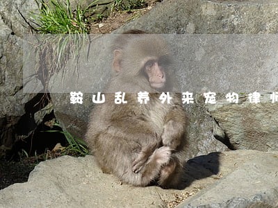 鞍山乱养外来宠物律师 鞍山乱养外来宠物律师