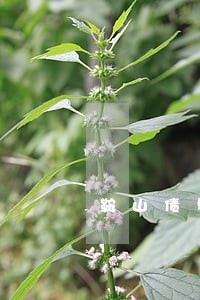 鞍山债务方面律师 鞍山债务方面律师