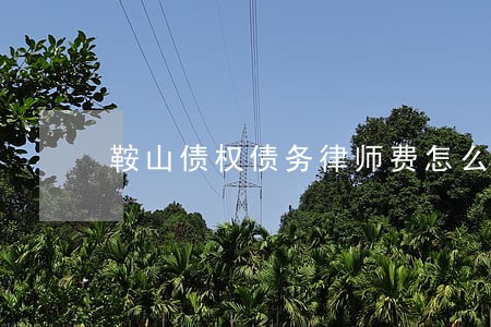 鞍山债权债务律师费怎么算 鞍山债权债务律师费怎么算