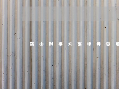 鞍山刑事大案律师微信咨询 鞍山刑事大案律师微信咨询