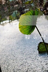 鞍山刑事纠纷律师费用标准 鞍山刑事纠纷律师费用标准
