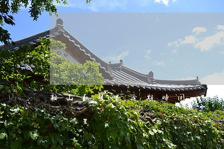 鞍山取暖费逾期时间