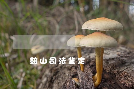 鞍山司法鉴定