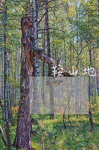 鞍山地区专办债务律师
