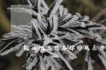 鞍山地区债务律师联系方式 鞍山地区债务律师联系方式