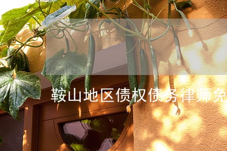 鞍山地区债权债务律师免费咨询 鞍山地区债权债务律师免费咨询