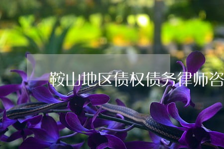 鞍山地区债权债务律师咨询网站 鞍山地区债权债务律师咨询网站