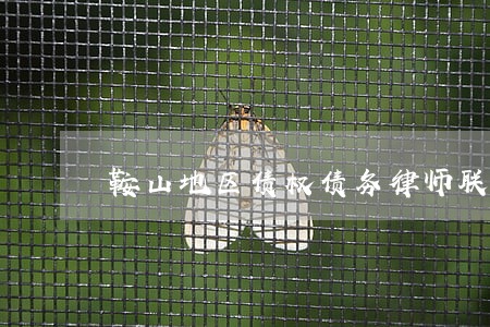 鞍山地区债权债务律师联系方式 鞍山地区债权债务律师联系方式