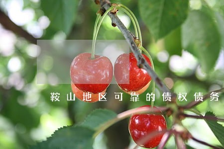 鞍山地区可靠的债权债务律师 鞍山地区可靠的债权债务律师