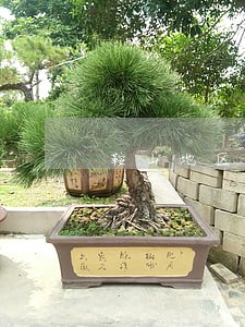 鞍山地区台安县合同起草律师 鞍山地区台安县合同起草律师