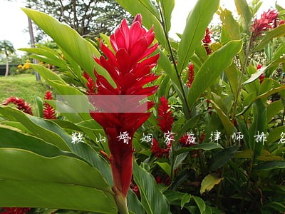 鞍山婚姻家庭律师排名 鞍山婚姻家庭律师排名