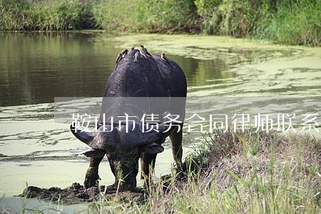 鞍山市债务合同律师联系方式 鞍山市债务合同律师联系方式