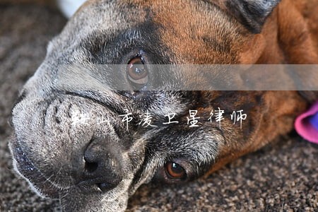 鞍山市凌卫星律师 鞍山市凌卫星律师