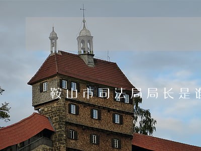 鞍山市司法局局长是谁