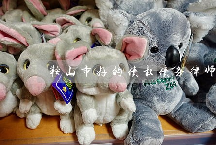 鞍山市好的债权债务律师 鞍山市好的债权债务律师