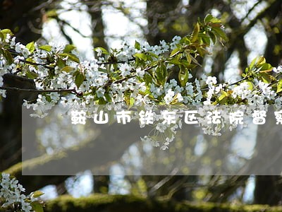 鞍山市铁东区法院督察电话