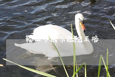 鞍山市铁东法院王培 鞍山市铁东法院王培