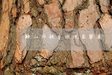 鞍山市铁东法院监察委