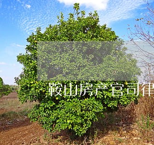 鞍山房产官司律师 鞍山房产官司律师